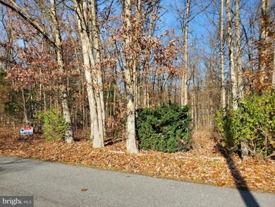 0 Jacks Mill Rd, Chambersburg, PA 17202 - photo 3