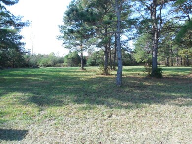 Lot 5 Pleasant Hill Rd, Rocky Mount, NC 27801 - photo 2