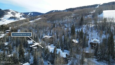 RockledgeAerial-3