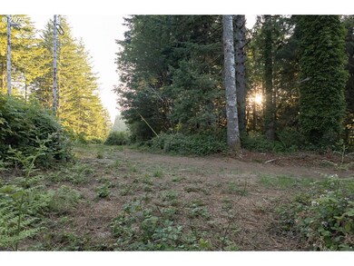 0 Elk City Rd, Toledo, OR 97391 - photo 5