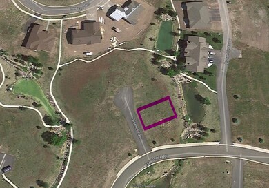 Approximate Lot Line