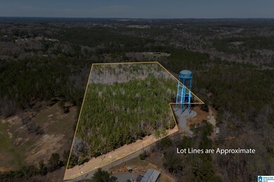 16082 House Rd, Brookwood, AL 35444 - photo 2