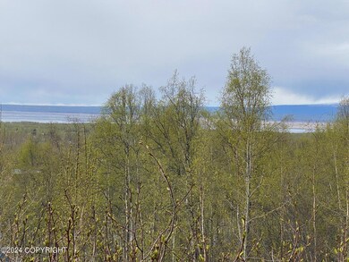 L9 B3 Country View Dr, Anchorage, AK 99567 - photo 4