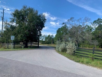 19501 Witts End, Alva, FL 33920 - photo 5