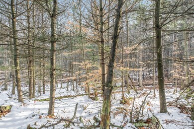 16671HavenWoodsCt-12