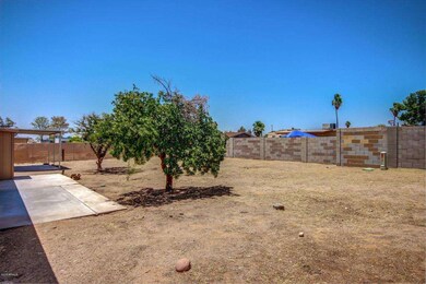 0005-Adobe (4)