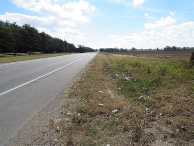 1890 Old Hwy S, Eudora, AR 71640 - photo 4