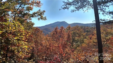 41 S Country Club Dr unit 41, Cullowhee, NC 28723 - photo 2