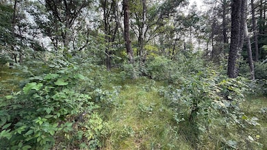 W2047 County Rd N, Lyndon Station, WI 53944 - photo 5