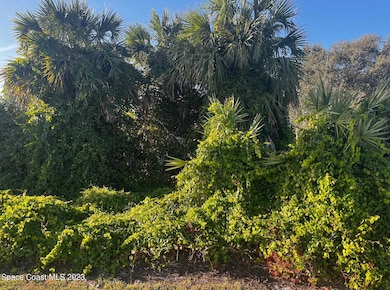 144 Main St, Sebastian, FL 32958 - photo 2