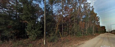 230 SW Central Terrace, Fort White, FL 32038 - photo 2