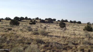 DSCF7139