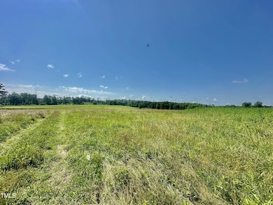 Lot 1 Jones Rd, Hurdle Mills, NC 27541 - photo 6