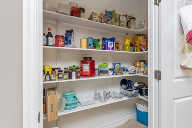 Walk-in Pantry