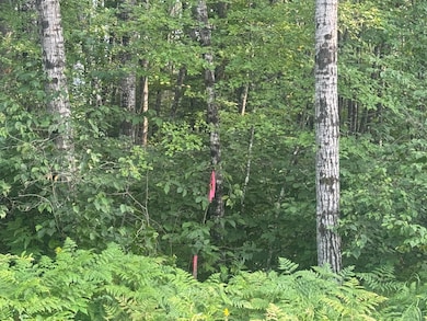 ON Schallock Ln, Crandon, WI 54520 - photo 2