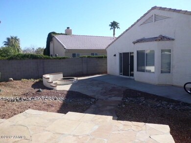 Back yard