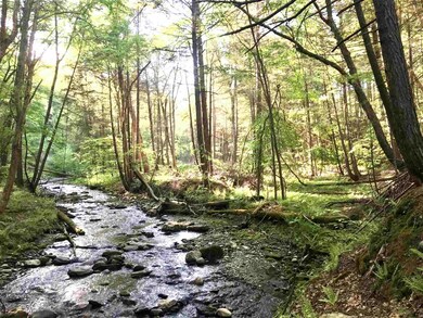 183 Canoe Brook Rd, East Dummerston, VT 05346 - photo 4