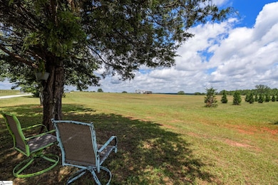 3277 Neely Ferry Rd, Laurens, SC 29360 - photo 2