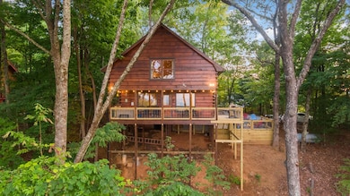 907 Ripshin Mountain Rd, Blue Ridge, GA 30513 - photo 4