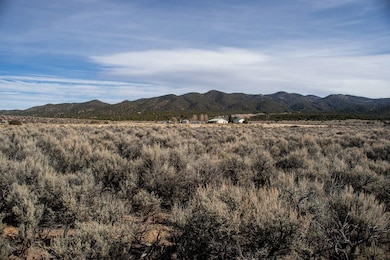 0 Sangre de Cristo Ranch unit H Blk 100 Lot 4, Fort  Garland, CO 81133 - photo 5