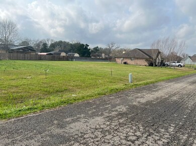 217 Silverleaf Rd, Sweeny, TX 77480 - photo 3