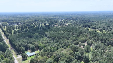 Sassafras Trail, White Hall, AR 71602 - photo 4