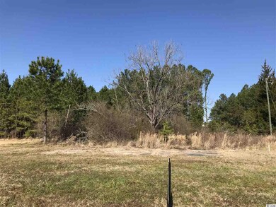 3994 Highway 378, Conway, SC 29527 - photo 2