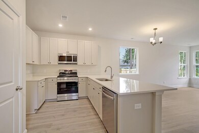 Adger II Kitchen