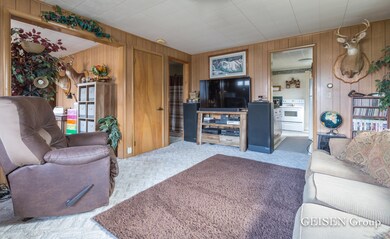 Geisen Group- Center Street Belding-3