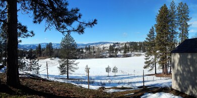 Pan view