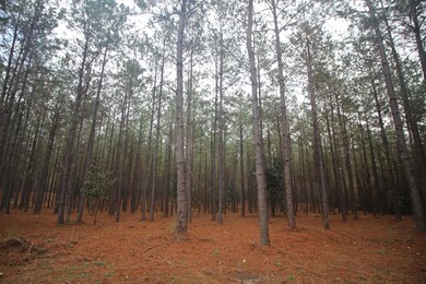 0 Hines Rd, Laurel, MS 39443 - photo 3