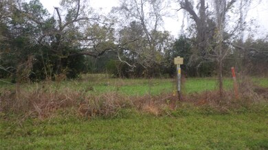 521 Fm 521, Brazoria, TX 77422 - photo 3