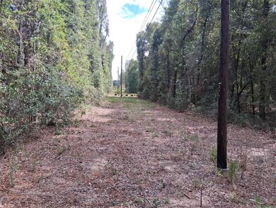 00000 Spice Pond Rd, Mobile, AL 36613 - photo 4