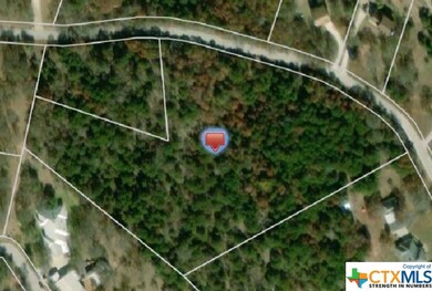 3191 Acres On Pecan Cove, Copperas Cove, TX 76522 - photo 3