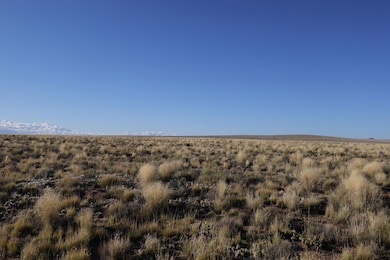 Gardenia Ave, Blanca, CO 81123 - photo 6