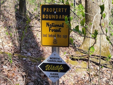 TBD Shell Stand Rd, Robbinsville, NC 28771 - photo 2