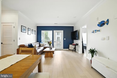 4850 Eisenhower Ave unit 302, Alexandria, VA 22304 - photo 5