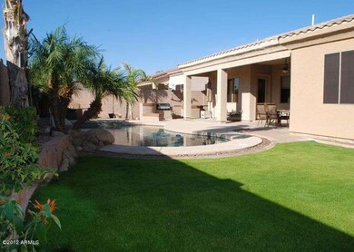 Back Yard and Pool