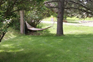 Yard View 2