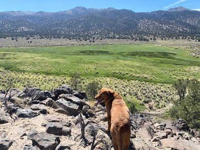 0 Benton Crossing Rd unit 5 250573, Benton, CA 93512 - photo 3