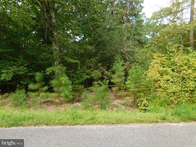 0 Placid Rd unit VAWE2003164, Colonial Beach, VA 22443 - photo 2