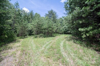 00 Dave Chester Rd, Lenoir, NC 28645 - photo 5