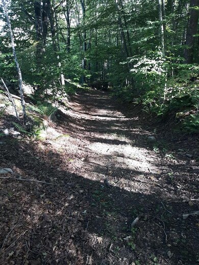 0 Curtis Rd unit 4892402, Winchester, NH 03470 - photo 5