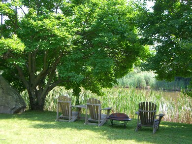 Heron Pond summer 006