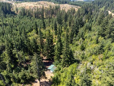 0 Coyote Song Ln unit 22276455, Snowden, WA 98672 - photo 4