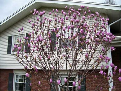 Exterior Front. There are TWO Beautiful Magnolia T