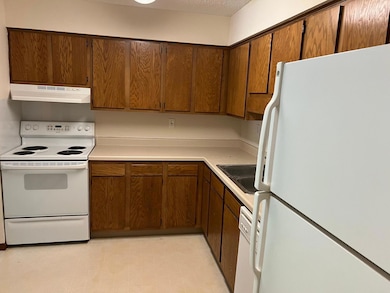 221 Grand Ave W unit 104, South Saint Paul, MN 55075 - photo 4