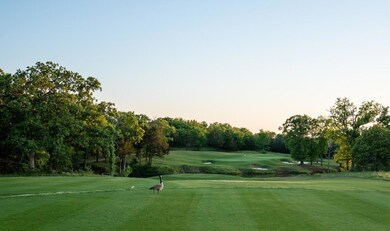 Lot 36 Meridian Ln, Gordonville, TX 76245 - photo 5