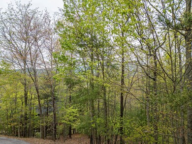 LOT 33 Mahoosec Trail, Mineral Bluff, GA 30559 - photo 5