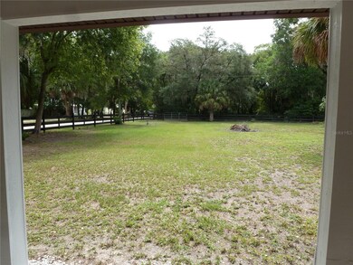 Back yard from back porch